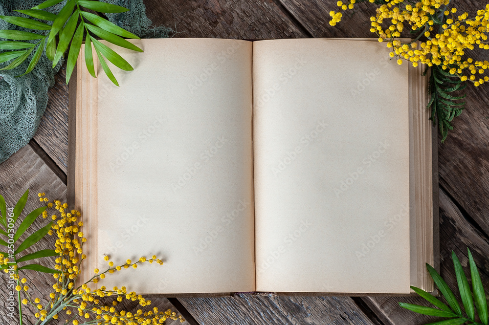 4,000+ Blank Pages Of Old Book Stock Photos, Pictures & Royalty-Free Images  - iStock