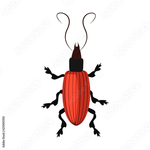 Brown longhorn beetle isolated vector. Entomology, bark beetle, wildlife. Insects concept. Vector can be used for topics like nature, biology, fauna