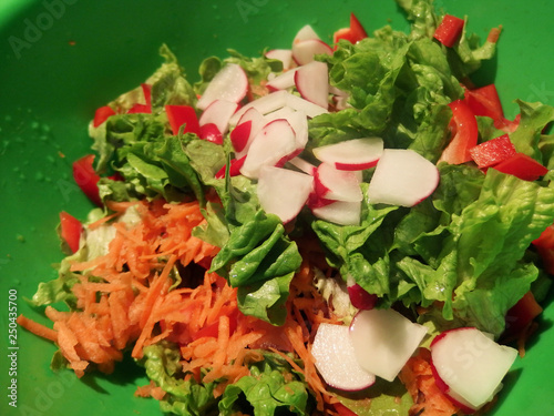Fresh vegetable salad with radish, lettuce, carrot and sweet red pepper