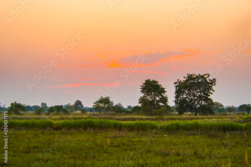 Beautiful sunsets in the countryside.6 © nikonianthai.