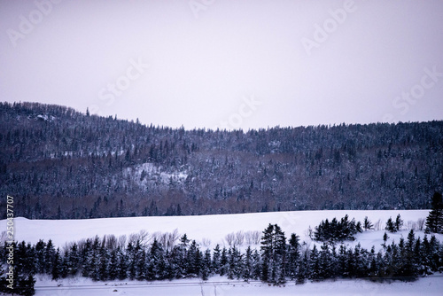 Winter Mountain and Field Landscape