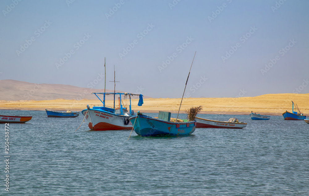 Panoramic view of Lagunillas Beach in the National Reserve of Paracas Park, Peru