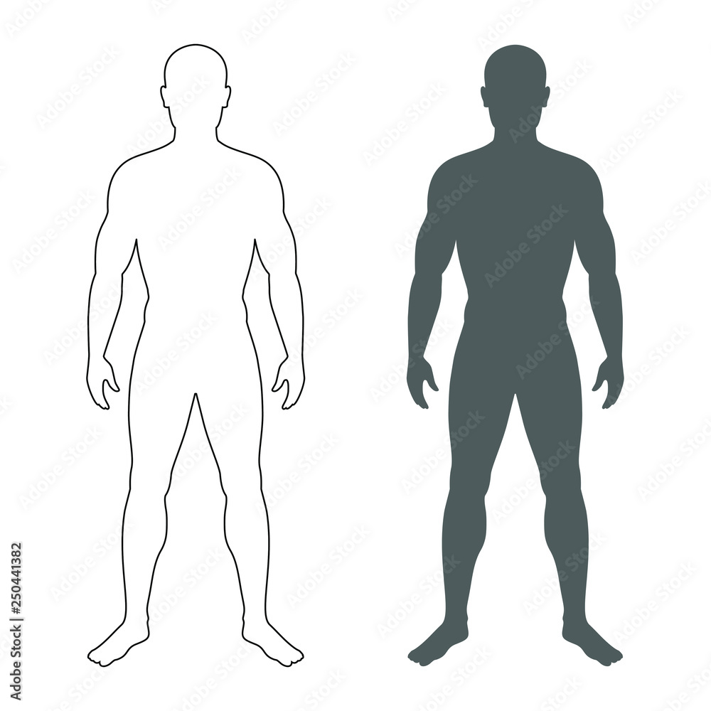 Male human body silhouette and contour. Isolated mens symbols on white  background. Vector illustration Stock Vector