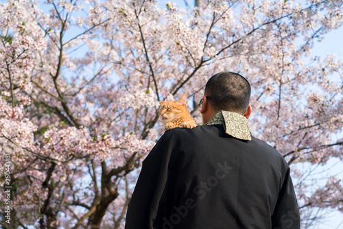 猫とお坊さん