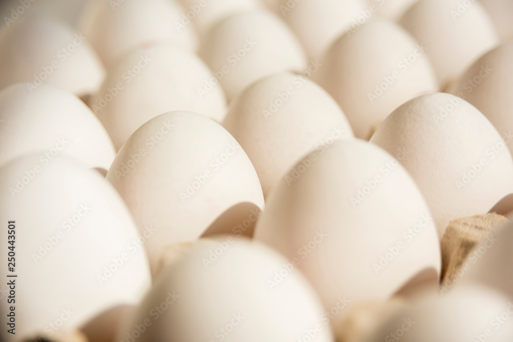 Many white eggs in egg carton Many white eggs in egg carton