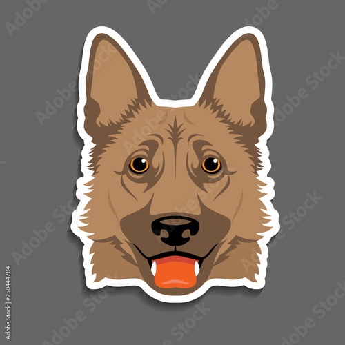 German shepherd dog head portrait 