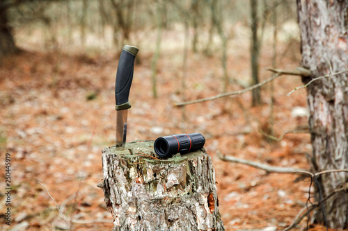 monocle and tourist knife on the stump in autumn forest