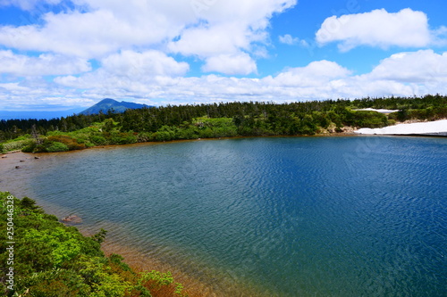 十和田八幡平国立公園。初夏のガマ沼。八幡平 岩手 日本。６月下旬。