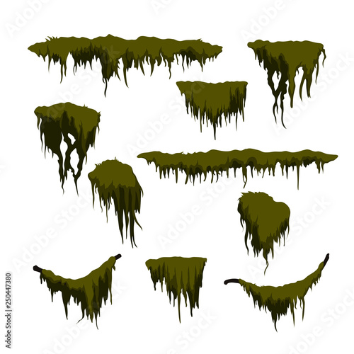 Murais de parede Green swamp moss on white background