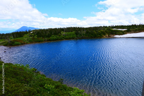 十和田八幡平国立公園。ブルーに輝く初夏のガマ沼。