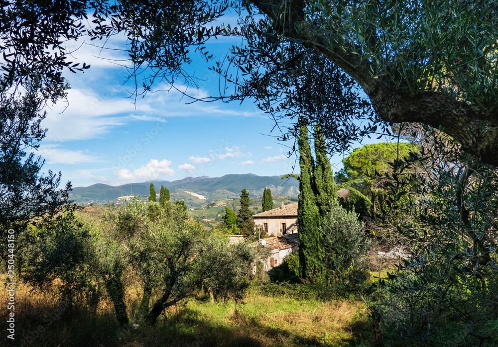 Typical Italian Landscape with calm hills, green vegetation and rustic houses 