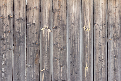 wooden background, texture of old wooden fence