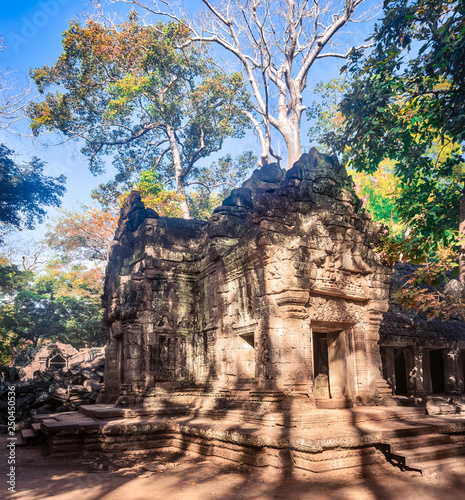 Ta Prohm temple. Siem Reap. Cambodia