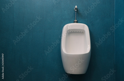 Bowl urinal white ceramic stall on the  pastel wall blue   color