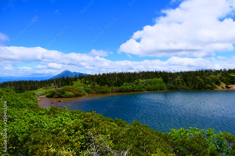 十和田八幡平国立公園。初夏のガマ沼から岩手山を望む。八幡平　岩手　日本。６月下旬。