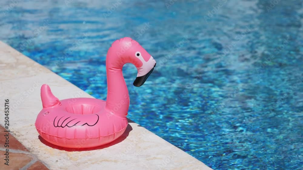 Inflatable toy of pink flamingo near swimming pool at poolside, nobody