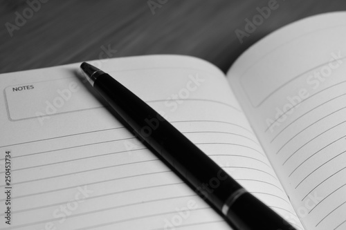 A ball pen on an open notebook