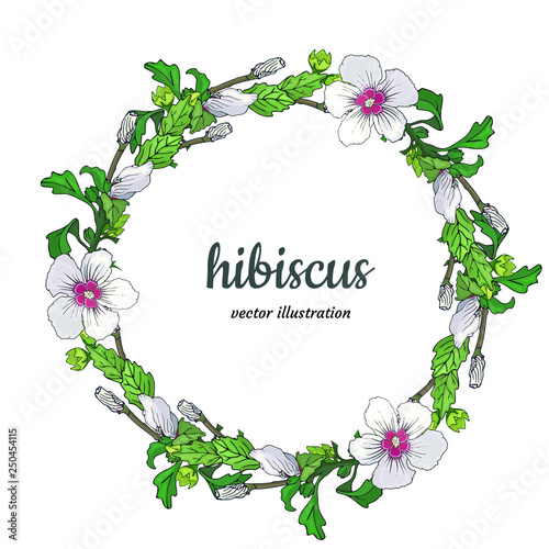 Tropical floral wreath with white-pink hand drawn hibiscus flowers, buds and leaves isolated on white background. Vector illustration. Botanical exotic design template. Border frame