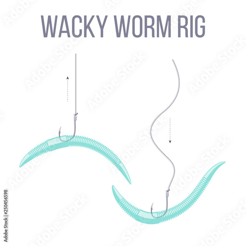 Wacky worm rig for catching predatory bass fish with spinning rod.