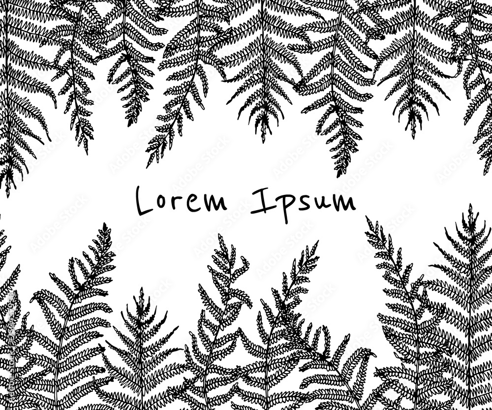 Naklejka premium Hand drawn fern leaf