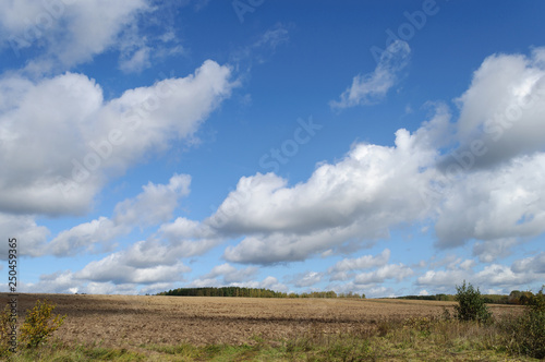 Arable farm field  cloudy sky