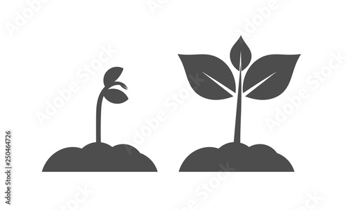 Spring seedlings plants icons.