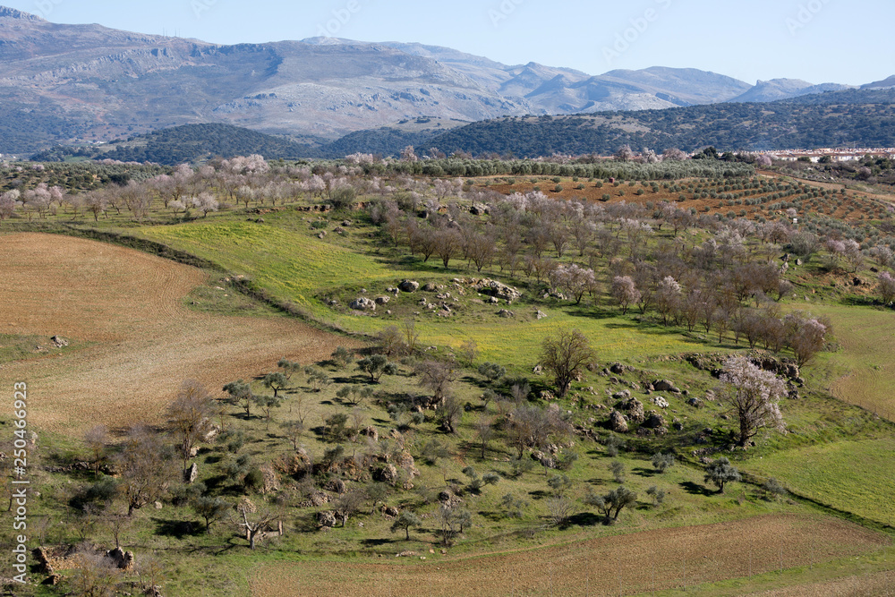 Sierra de Ronda, fields and mountains from the edges of steep cliffs in Ronda, Spain Sierra de Ronda, fields and mountains from the edges of steep cliffs in Ronda, Spain