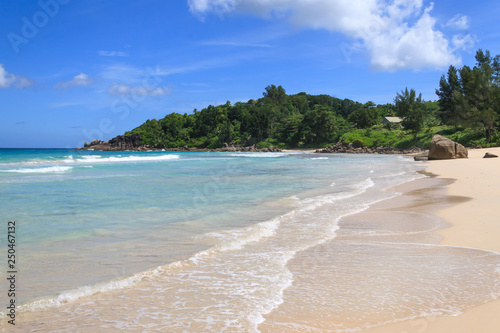 lagoon with clear blue water  tropical greenery and rocks with boulders