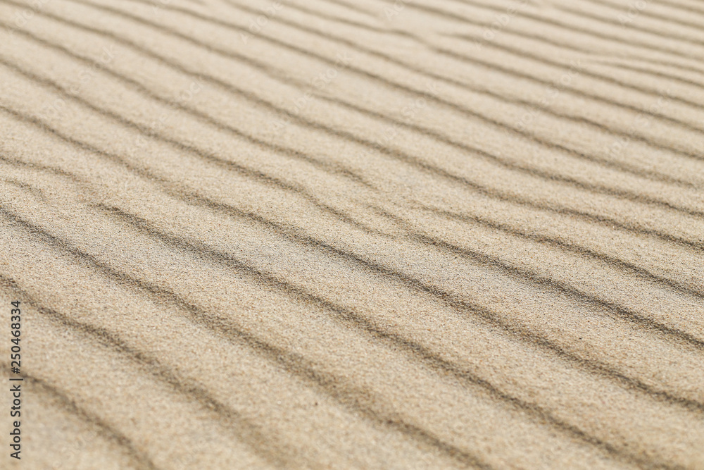 Sand dune lines and patterns sculpted by wind on Parnidis sand dune - popular tourist point in Lithuania. Located in Nida, in Curonian Spit between curonian lagoon and baltic sea. a Unesco site. Sand dune lines and patterns sculpted by wind on Parnidis sand dune - popular tourist point in Lithuania. Located in Nida, in Curonian Spit between curonian lagoon and baltic sea. a Unesco site.