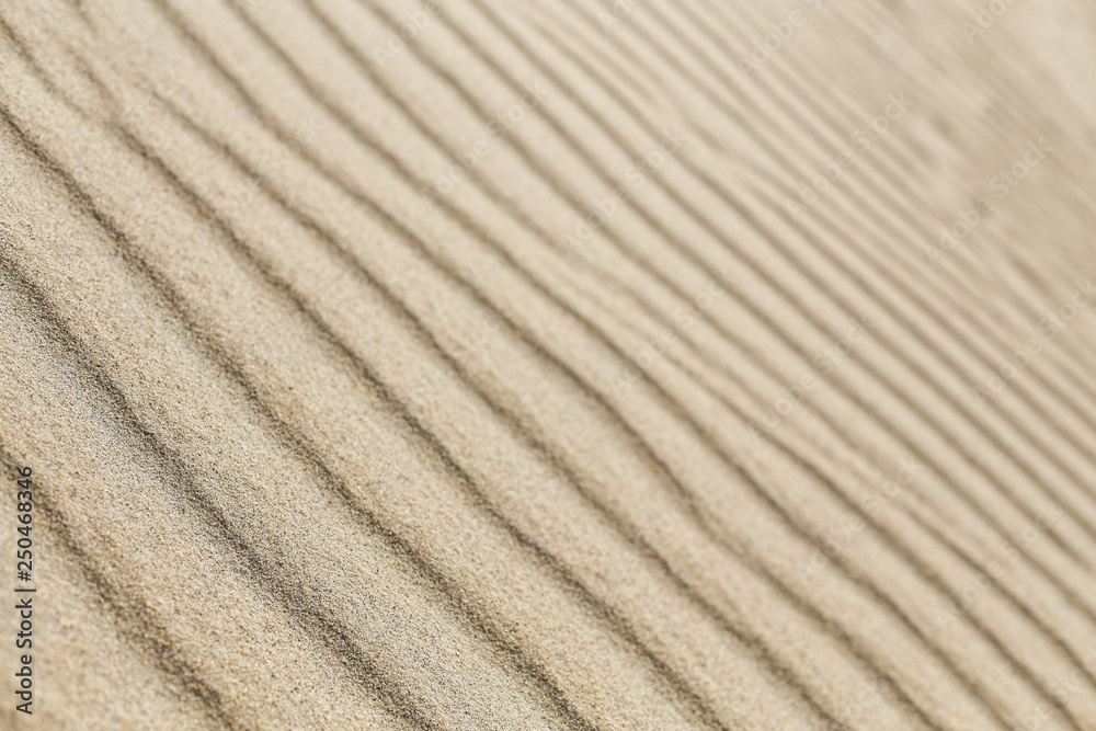 Sand dune lines and patterns sculpted by wind on Parnidis sand dune - popular tourist point in Lithuania. Located in Nida, in Curonian Spit between curonian lagoon and baltic sea. a Unesco site.