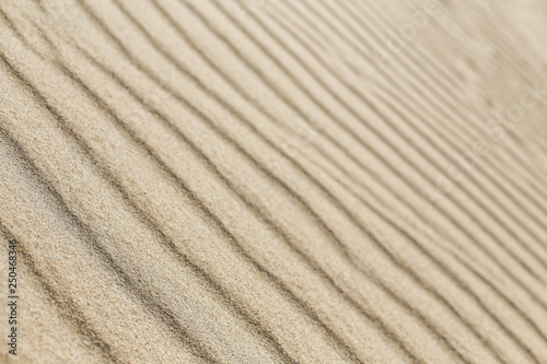 Sand dune lines and patterns sculpted by wind on Parnidis sand dune - popular tourist point in Lithuania. Located in Nida, in Curonian Spit between curonian lagoon and baltic sea. a Unesco site. photo