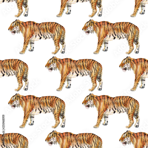 Fototapeta Naklejka Na Ścianę i Meble -  Seamless pattern with tiger