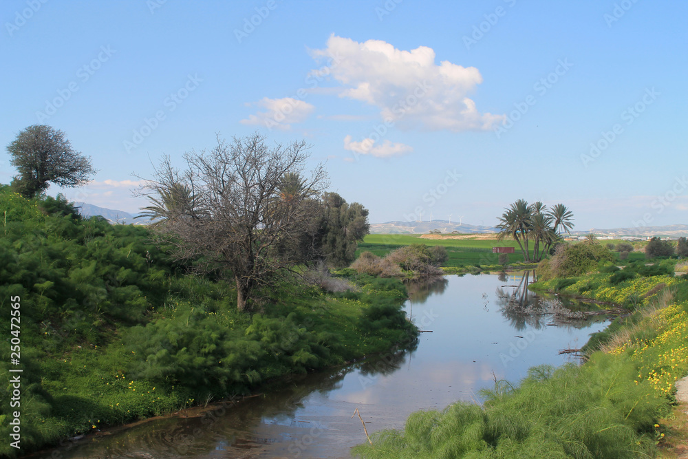 Fototapeta premium Landscape with river and trees