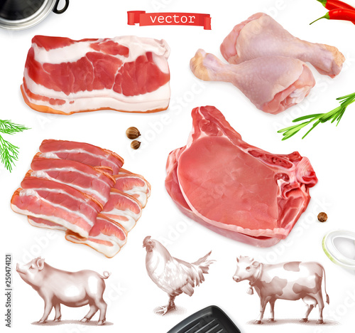 Meat food. Beef, pork, chicken legs. 3d vector realistic set