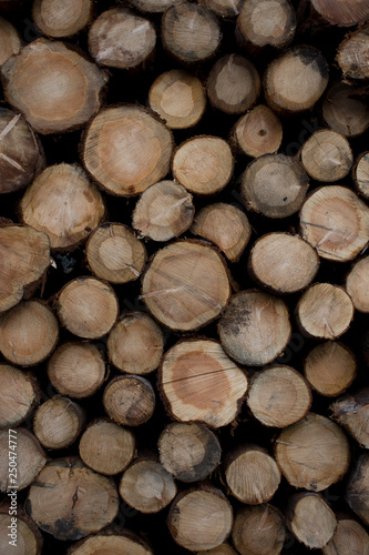 Pila de troncos de madera cortados recientemente  ideal para fondo de m  vil
