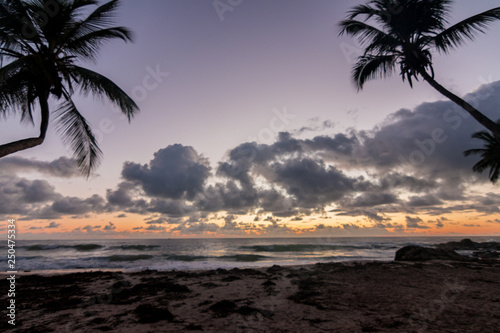 beautiful sunrise in itacaré, bahia brazil, with silhouettes of coconut trees and a sky with colorful clouds