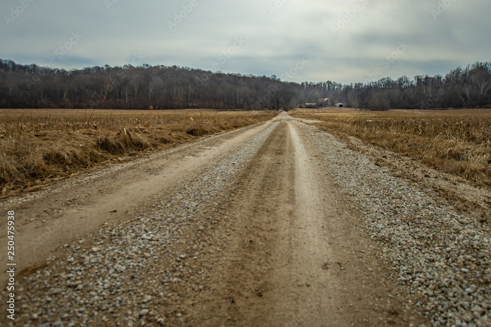 Naklejka premium Driving through a field