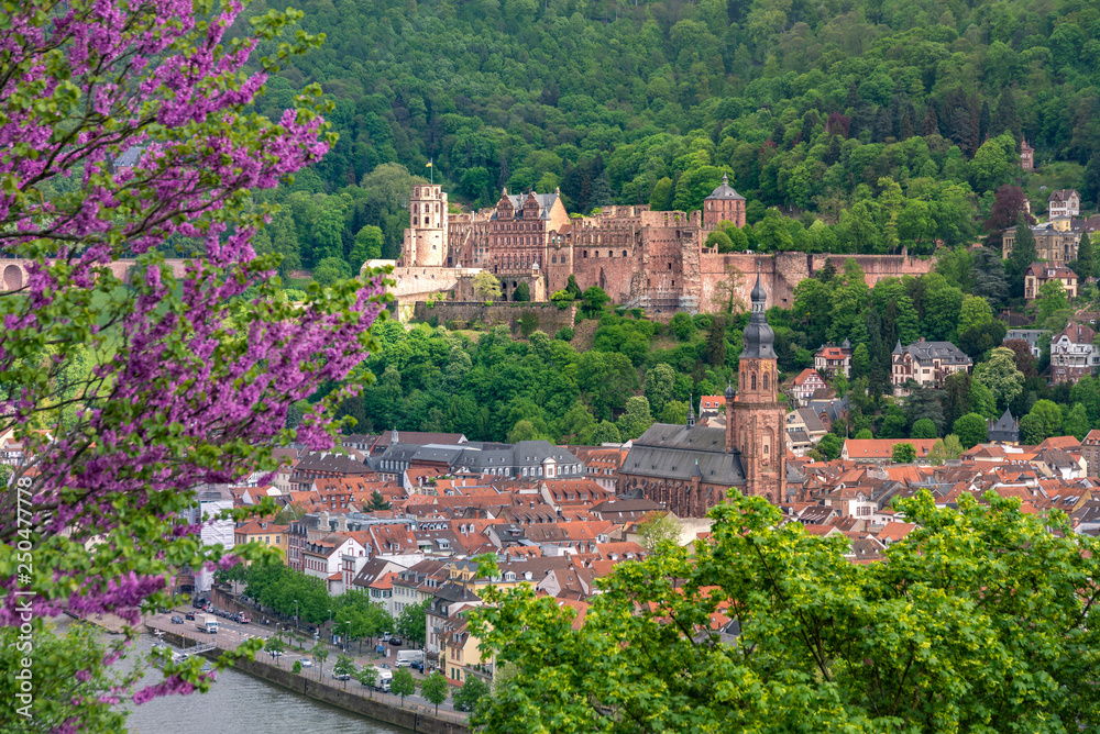 Obraz premium Heidelberg panorama zamku Heidelberg wiosną, Philosophenweg.