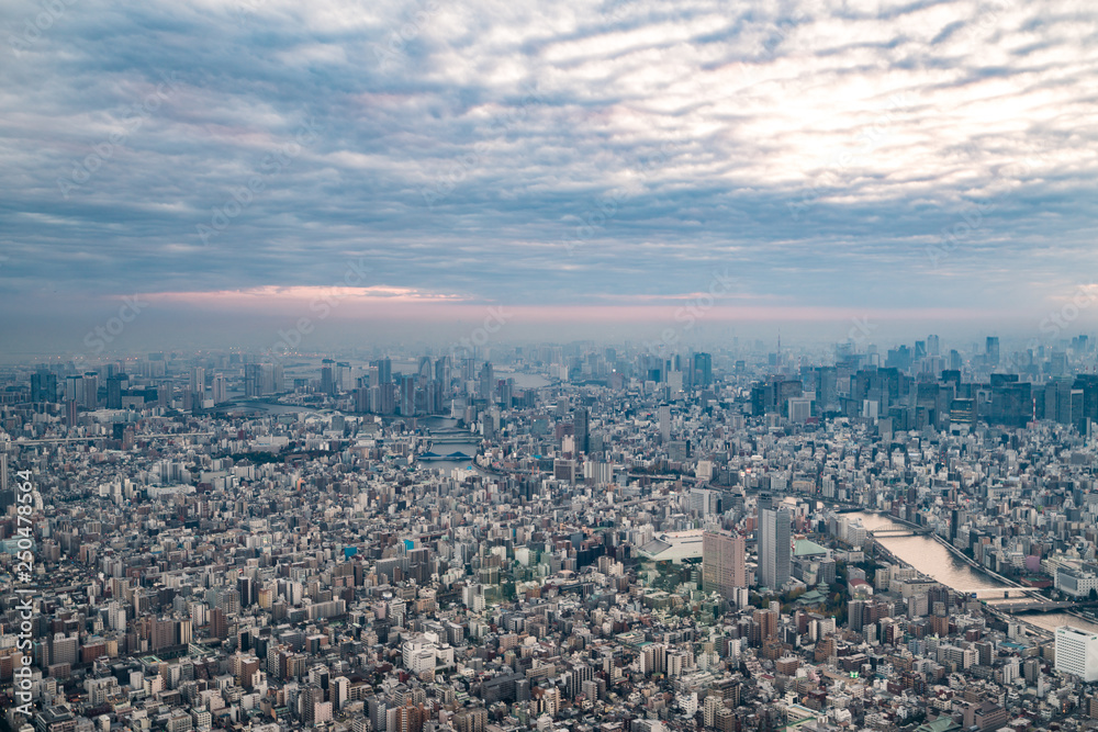 View of downtown cityscape and sky tree in tokyo, Japan.