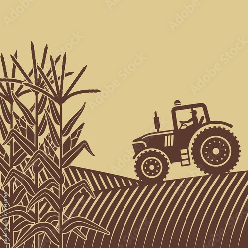 agricultural work in corn field illustration