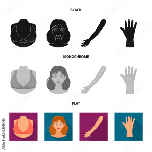 Isolated object of body and part sign. Set of body and anatomy stock vector illustration.