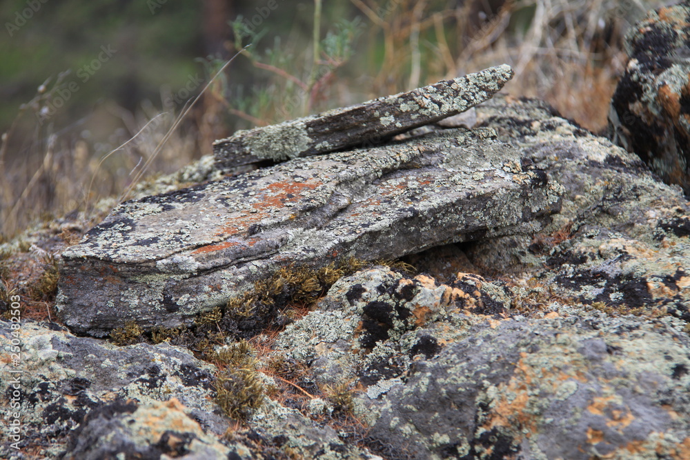 old stone old stone