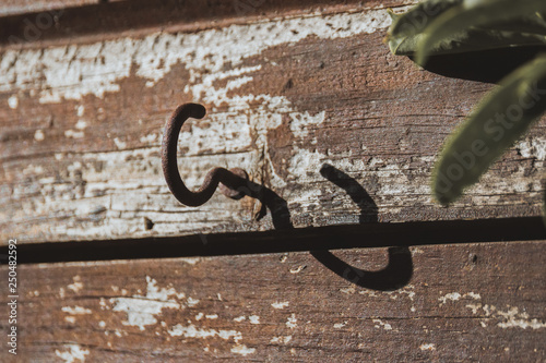 Hook on wood
