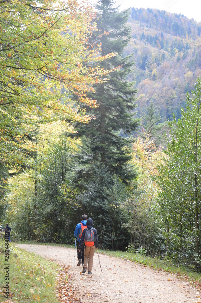 Fototapeta premium hiking in the mountains