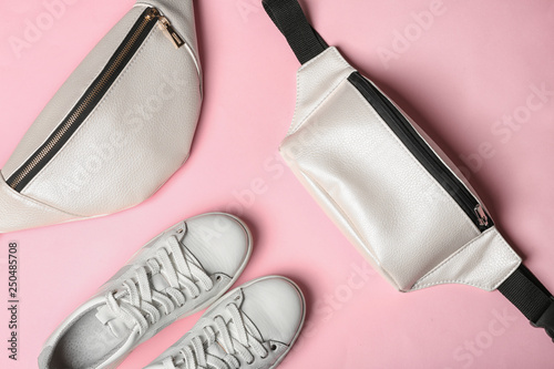 Slika na platnu Flat lay composition of stylish shoes and bum bags on color background