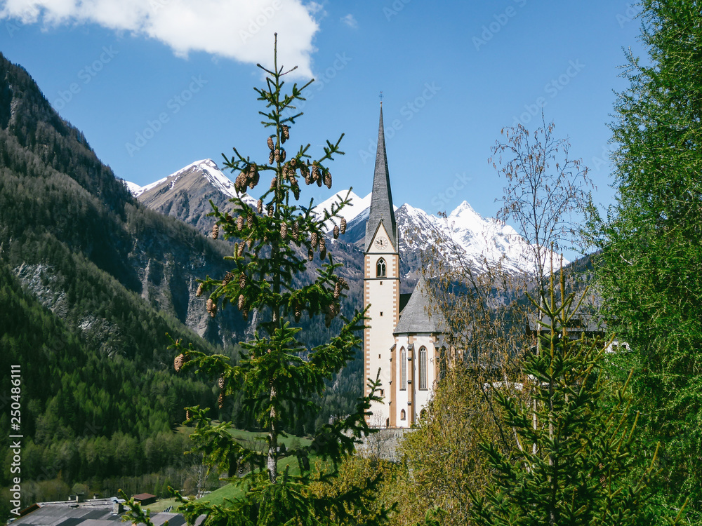 Little church in Heiligenblut, Austria, located in the valley, between Alpine mountains. Lots of trees.Pine tree full of cones in the middle. Beautiful for holidays. Grossglockner group in the back