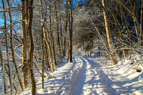 Mellonlahti nature trail, winter view, Imatra, Finland © hivaka