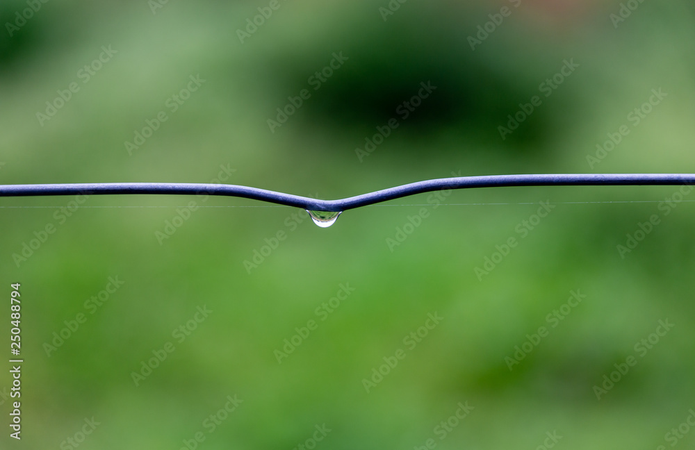 Water drop on wire Water drop on wire