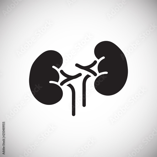 Kidneys icon on white background for graphic and web design, Modern simple vector sign. Internet concept. Trendy symbol for website design web button or mobile app