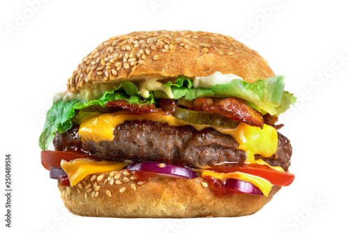 Fotografie, Obraz Homemade tasty burger isolated on white background close-up